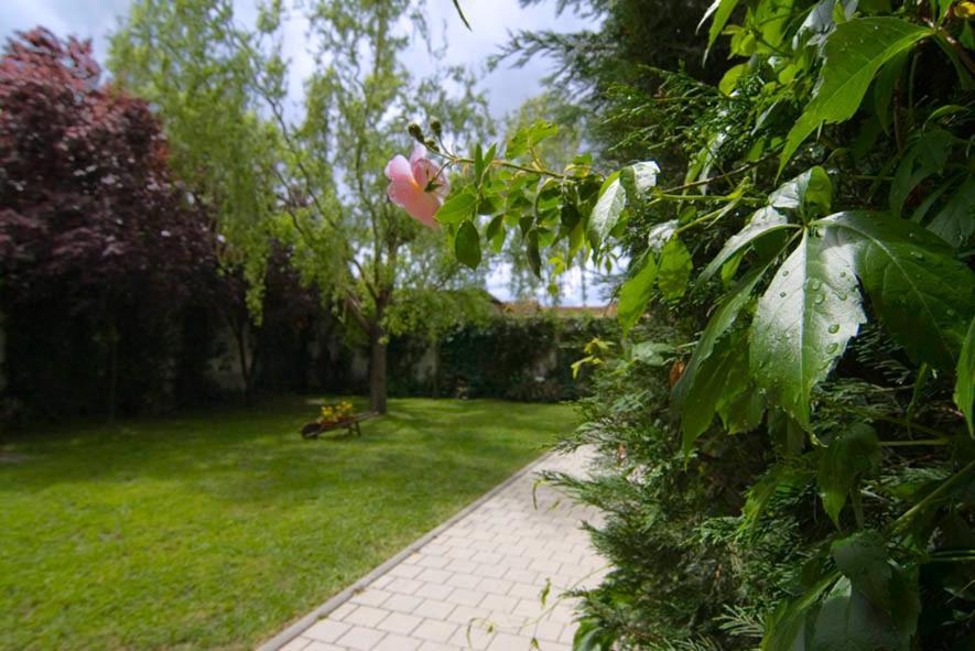 El Molino Villa Nieva  Ngoại thất bức ảnh